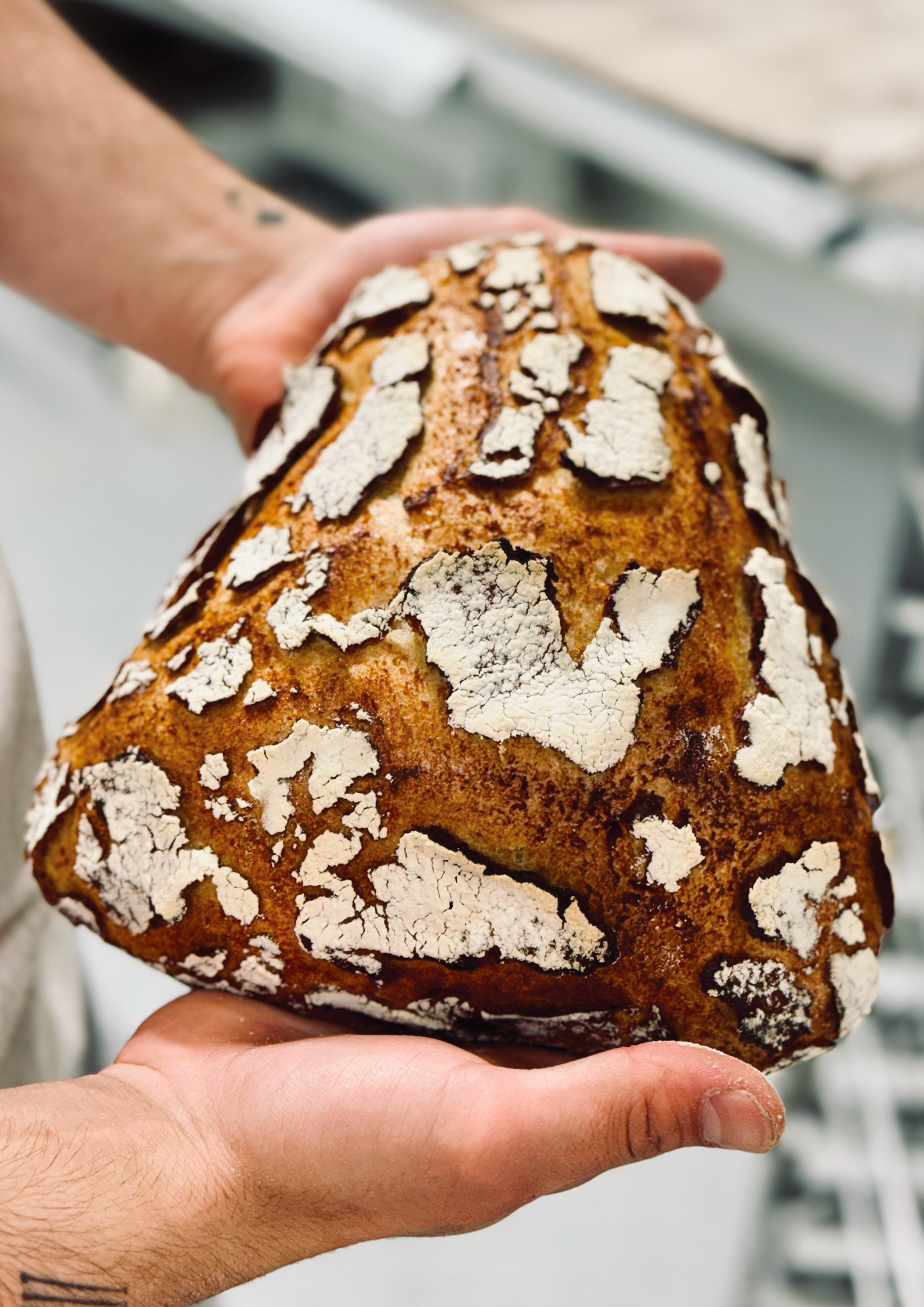 PAIN À LA BIÈRE BRUNE